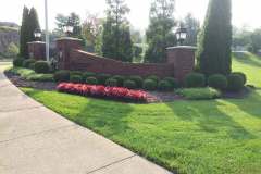 20150728_132811714_iOS