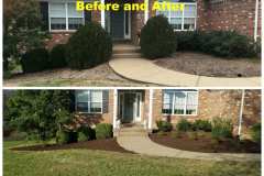 Before-and-After-Reno