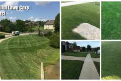 Lawn-Care