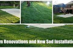 Sod-Install
