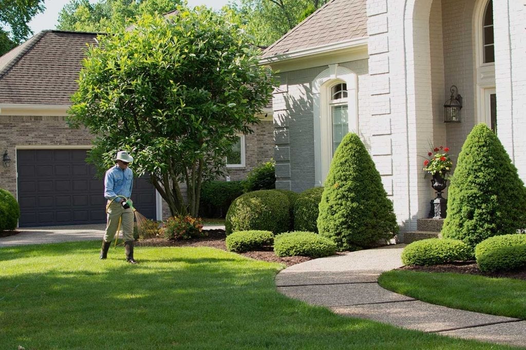lawn care, fertilization, and weed control
